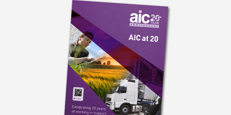 AIC-at-20-publication-thumbnail.jpg