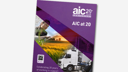 AIC-at-20-publication-thumbnail.jpg