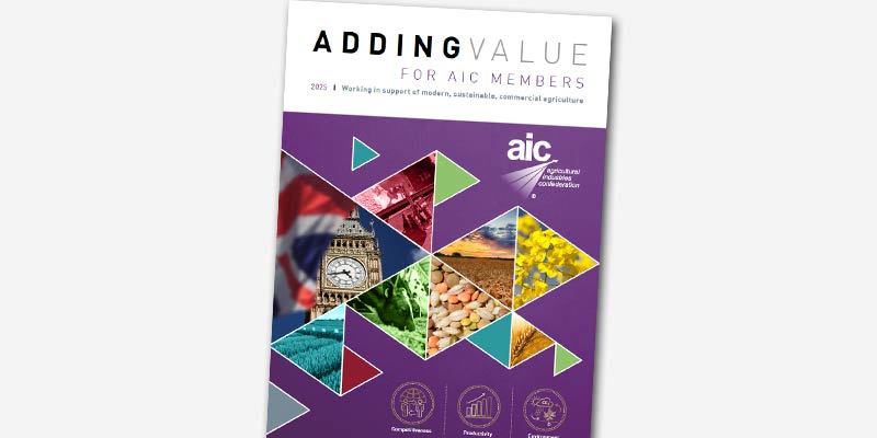 AIC-Adding-Value-2025-publication-thumbnail.jpg