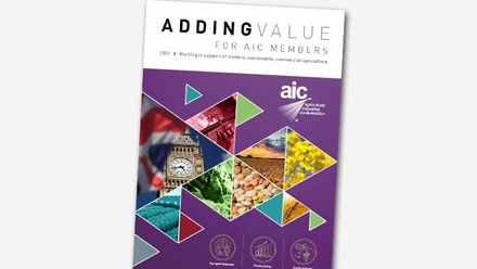 AIC-Adding-Value-2025-publication-thumbnail.jpg