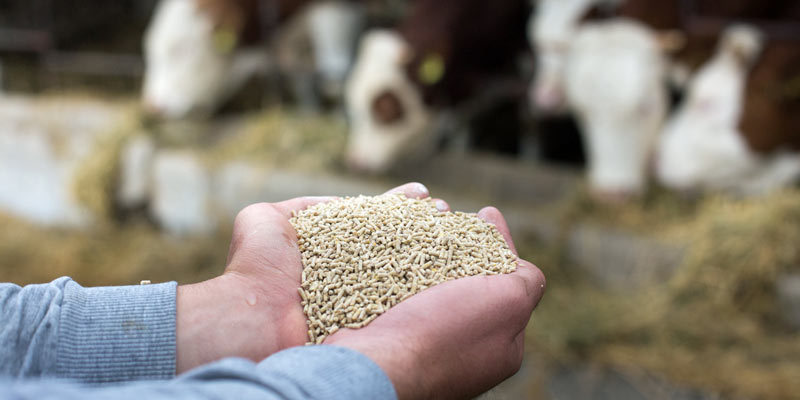 Sustainability-Action-Plan-Sustainable-Raw-Materials-Circular-Economy-cattle-feed-pellets-c-iStock.jpg