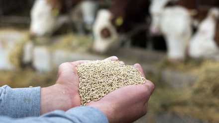 Sustainability-Action-Plan-Sustainable-Raw-Materials-Circular-Economy-cattle-feed-pellets-c-iStock.jpg