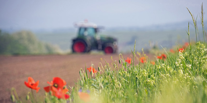 Sustainability-Action-Plan-Biodiversity-and-ecosystems-tractor-wildflower-margin-c-Adobe.jpg