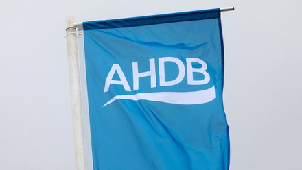 ahdb-flag-c-tim-scrivener.jpg 1