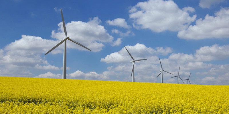 wind-turbines-renewable-energy-oilseed-rape-osr-c-tim-scrivener.jpg