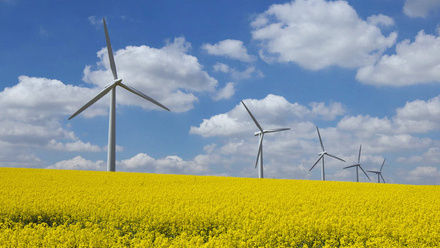 wind-turbines-renewable-energy-oilseed-rape-osr-c-tim-scrivener.jpg