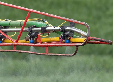 spraying-wheat-t1-c-tim-scrivener.jpg