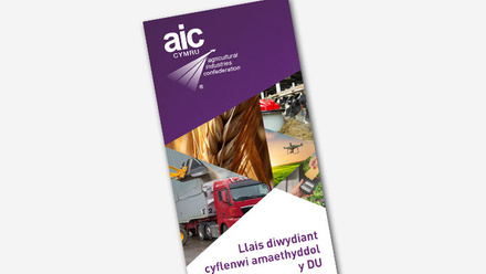 About-AIC-Cymru-leaflet-welsh-language-thumbnail.jpg