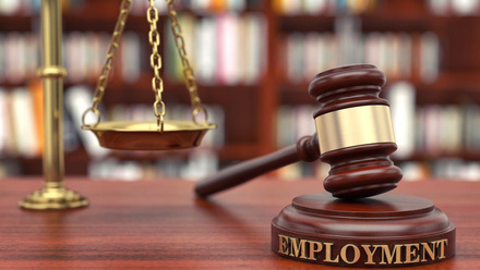 Employment Law 1200 x 800.jpg 1