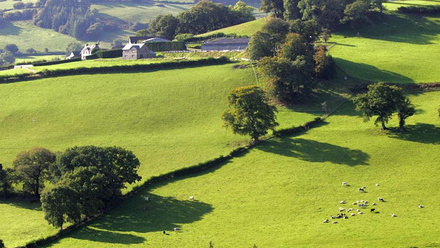 Welsh-countryside-c-tim-scrivener.jpg