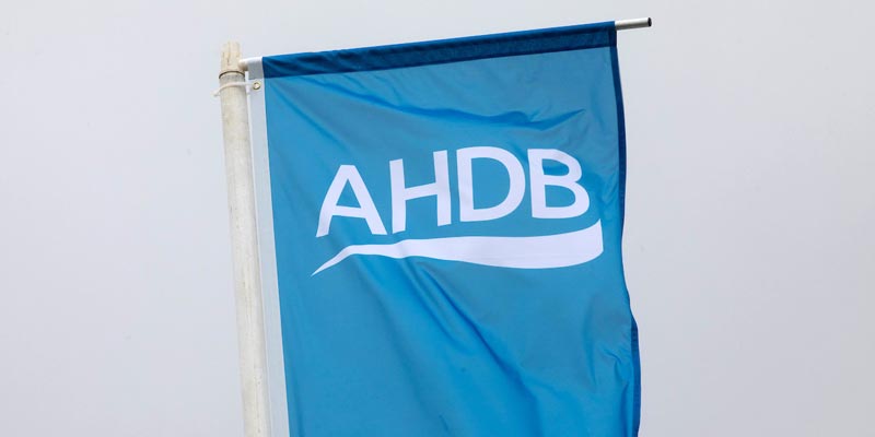 ahdb-flag-c-tim-scrivener.jpg