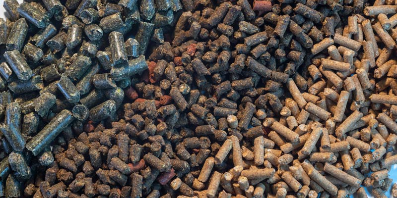 livestock-animal-feed-pellets-c-shutterstock.jpg