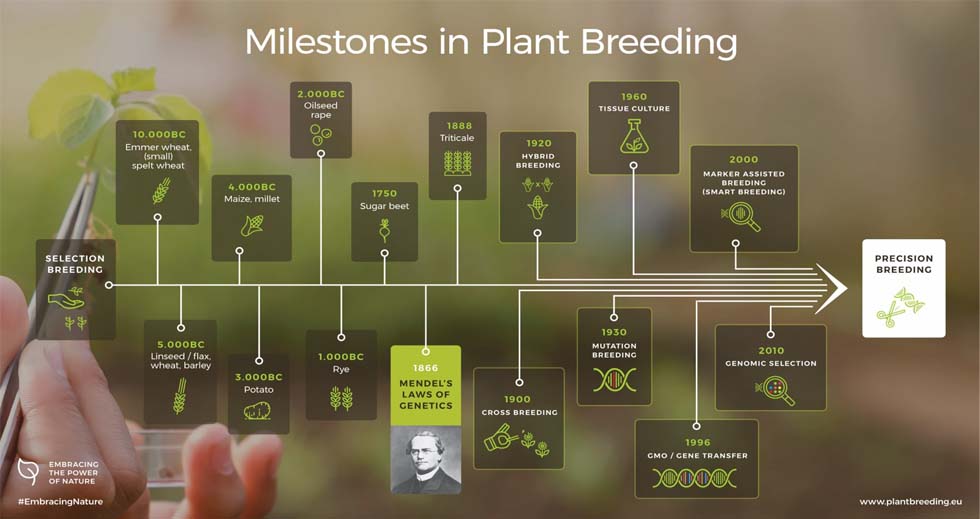 milestones in plant breeding.jpg