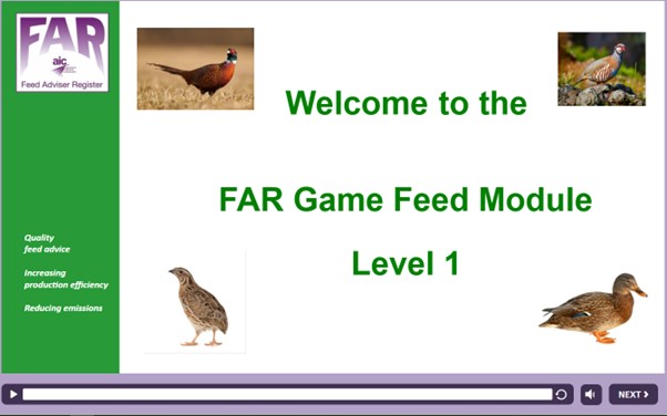 FAR Game Feed Module Level 1.jpg 2