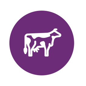 Dairy Icon 20%.png