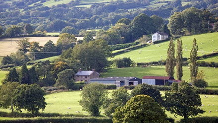 sfs-welsh-landscape-farm-wales-sheep-c-tim-scrivener.jpg