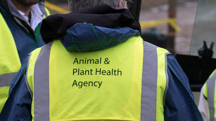 APHA-Animal-and-Plant-Health-Agency-bird-flu-disease-high-vis-c-tim-scrivener.jpg