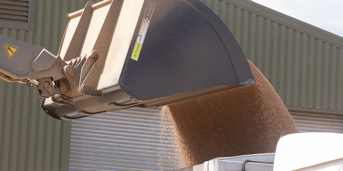 loading grain lorry c tim scrivener.JPG