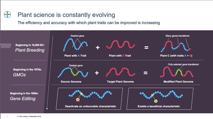 plant science evolving.jpg